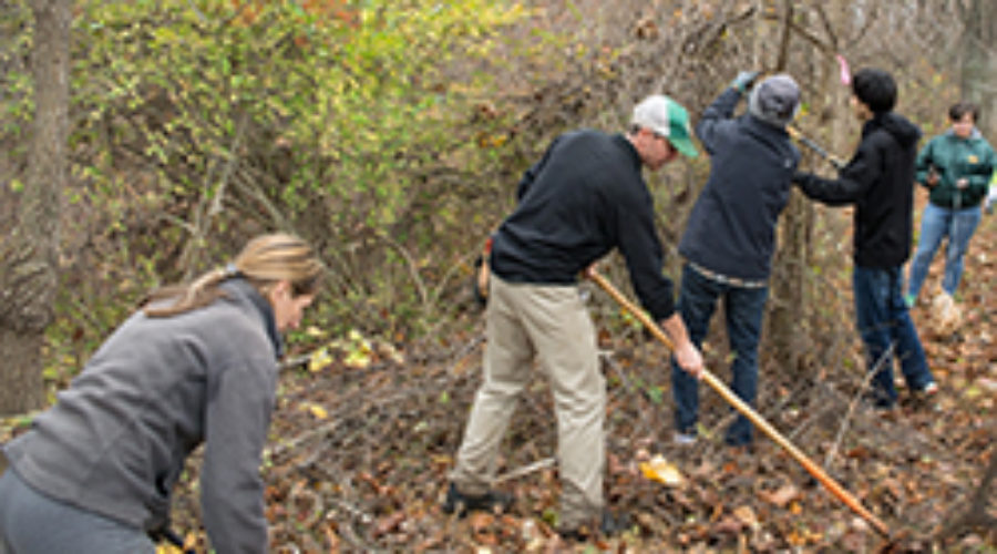 2015 Autumn Stewardship Volunteer Day