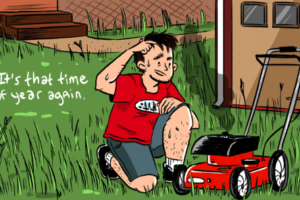 Hate mowing your yard – Why do it?
