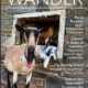 Check out our article in Wander Magazine