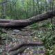 Fewer People Hiking the Appalachian Trail in 2025