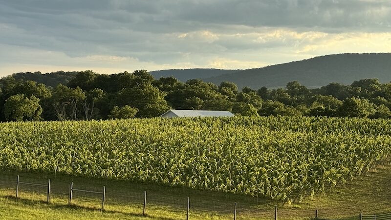 View of the Blue Ridge overlooking Good Spirit Farm - Friends of the ...